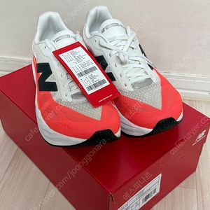 뉴발란스 런닝화 레벨v5 290 D 팝니다 레드