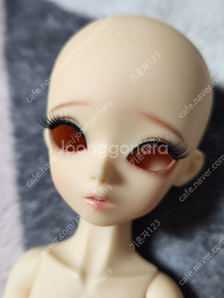 블루페어리 메이 헤드+카날코드 usd 롱바디 판매합니다...--0