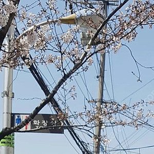 여기어때 야놀자 80프로 삽니다 70만전후
