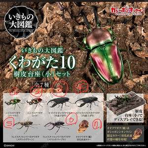 반다이 생물대도감 사슴벌레 신상품