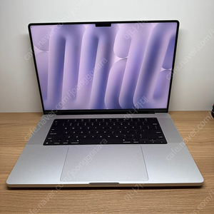 맥북 프로 m4 16인치 실버 pro 14코어 20코어 24GB 512G