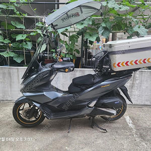 pcx125 22년식