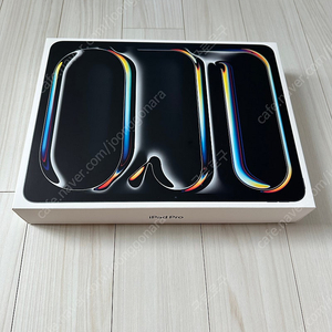 Apple 정품 2024 아이패드 프로 13 M4칩 스탠다드 글래스 스페