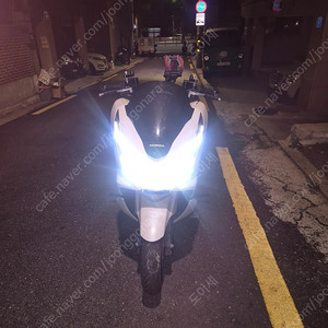 19년식 더뉴 pcx150 abs 묻따 합니다