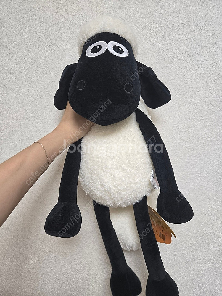 숀더쉽 인형 40cm 택포 1만원--0