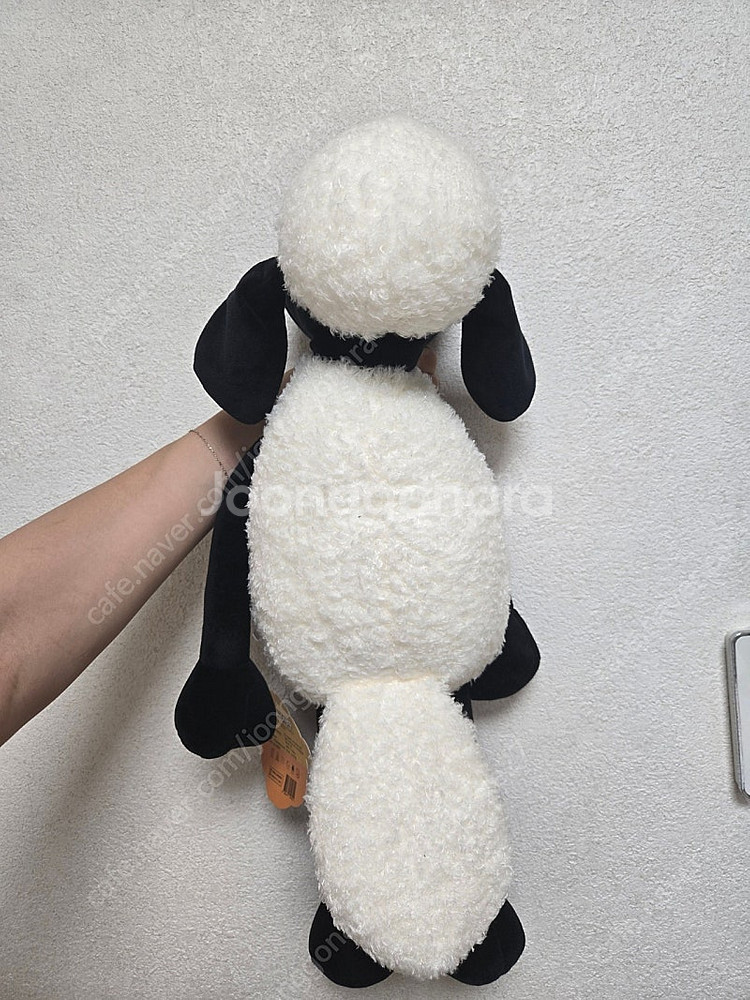 숀더쉽 인형 40cm 택포 1만원--1