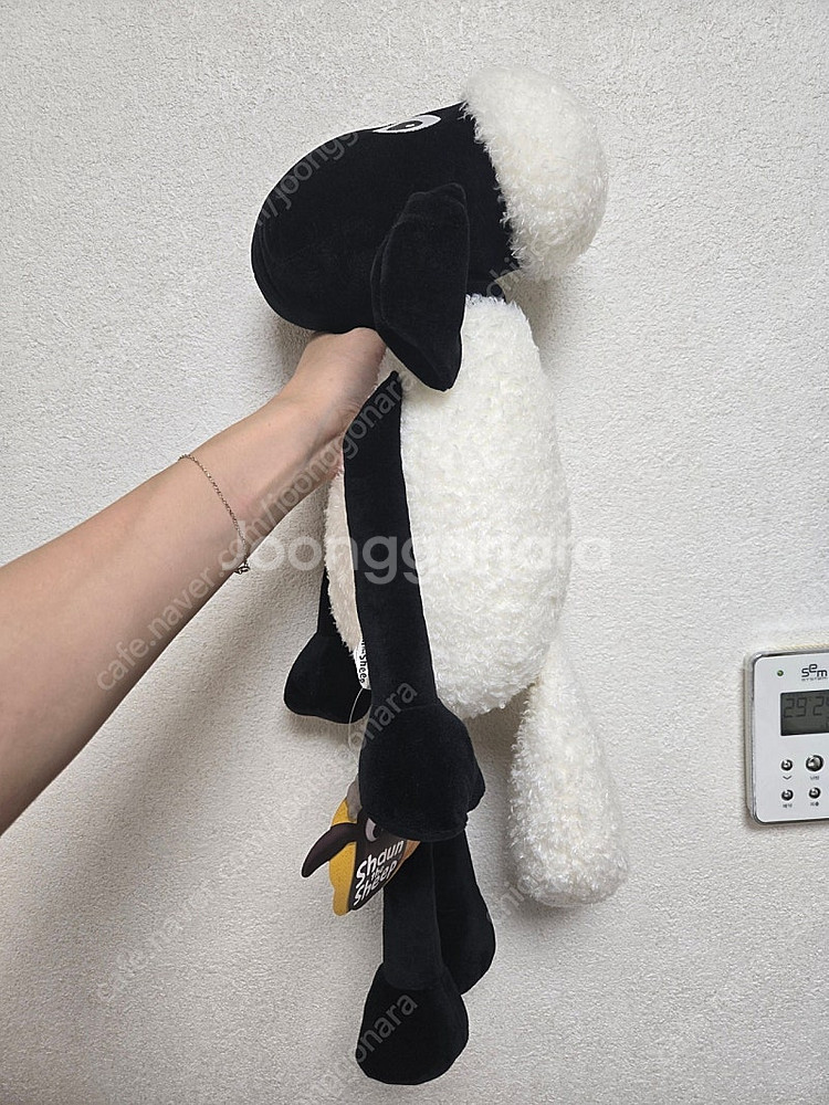 숀더쉽 인형 40cm 택포 1만원--2