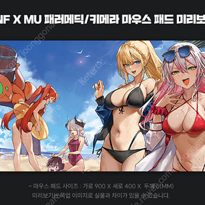 던파 PC방 100시간 패러메딕/키메라 마우스패드, 컷