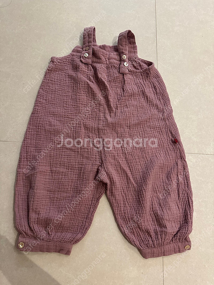꼬숑 빙고 로즈 L--0