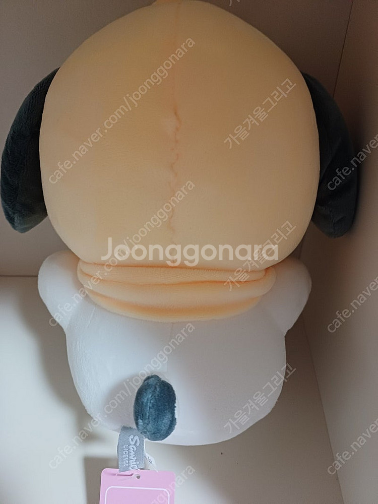 (새상품) 산리오 포차코 프렌즈 봉제 인형 25cm--1