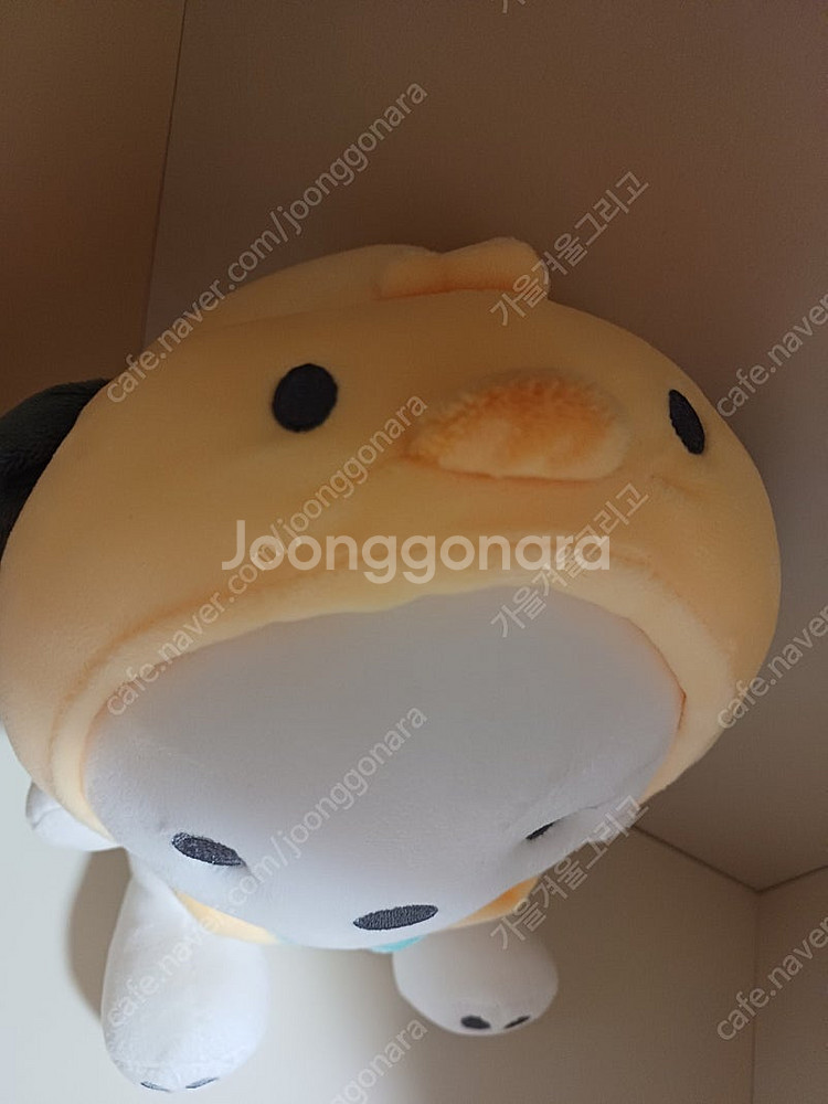 (새상품) 산리오 포차코 프렌즈 봉제 인형 25cm--3