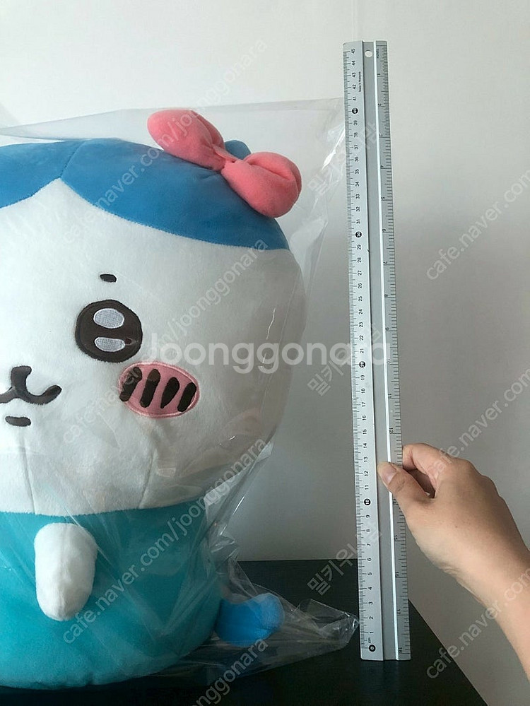 정품 치이카와 하치와레 헬로키티 산리오 콜라보 누이 인...--4