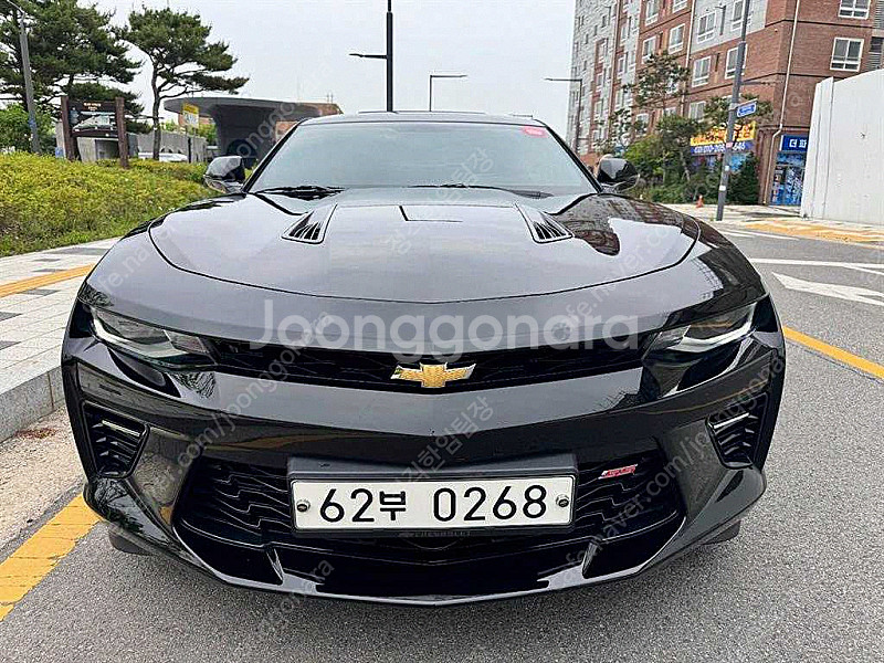 쉐보레 올뉴카마로 SS 62 V8 중고차 선착순 판매합...--0