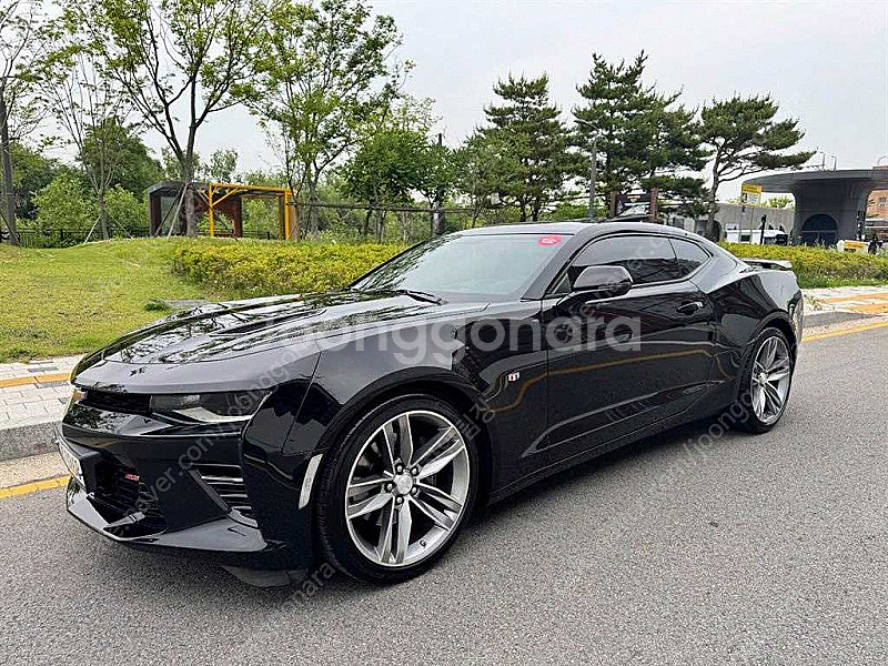 쉐보레 올뉴카마로 SS 62 V8 중고차 선착순 판매합...--1