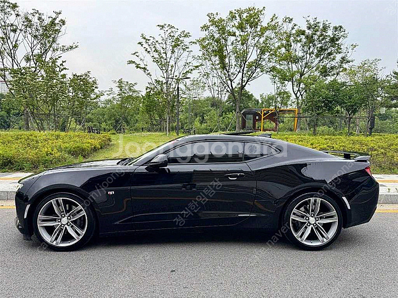 쉐보레 올뉴카마로 SS 62 V8 중고차 선착순 판매합...--2