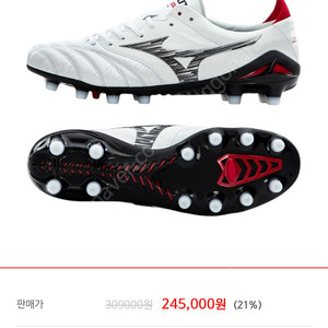 미즈노 네오4 재팬