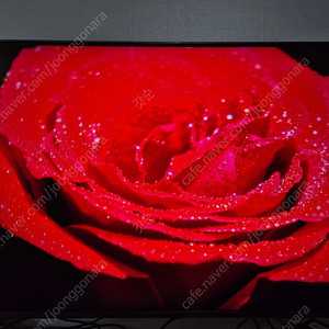 삼성 Neo QLED QNF90 2025년형. 43QNF90AFXKR 판매합니다.