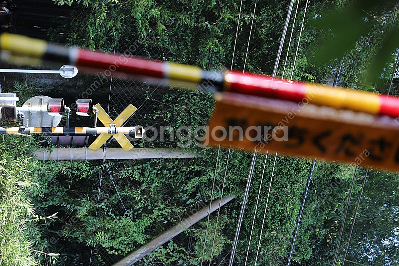 캐논 24-70 F2.8 II 신계륵렌즈 팝니다--3