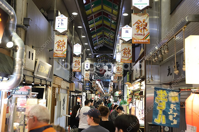 캐논 24-70 F2.8 II 신계륵렌즈 팝니다--4