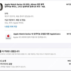 [애플케어] 애플워치10/46mm/제트블랙/슬레이트밀레니즈루프