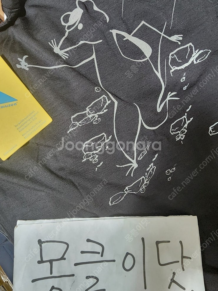 클라터뮤젠 도게르 반팔 / 기능성 반팔 / 새제품--1