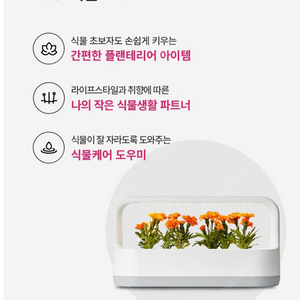 LG 틔운 , 엘지 틔운