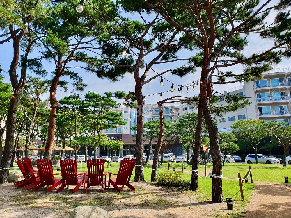 <주말/성수기/확정예약> 켄싱턴리조트<설악밸리, 설악비...--1