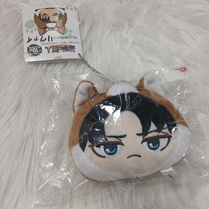 진격의거인 립뭉이 리바이