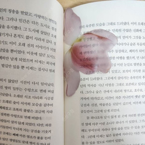 이옥토 튤립 책갈피