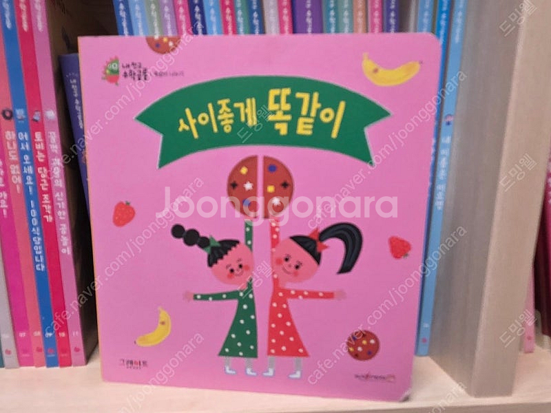 내 친구 수학공룡 전집--5