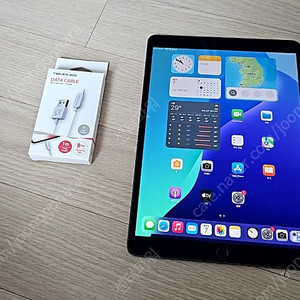 A급 애플 아이패드 에어3 스페이스그레이 와이파이 256gb 스그
