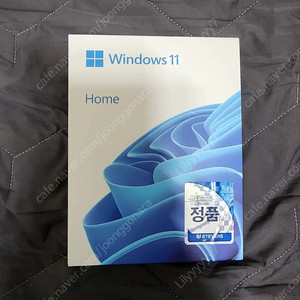 윈도우11 처음사용자용 정품 USB (Windows 11)