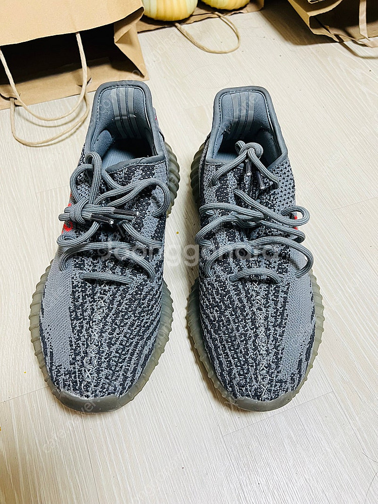 이지부스트 350V2 벨루가--4