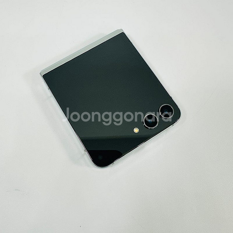 F731 ] 대용량 512GB 갤럭시 Z플립5 민트, ...--2
