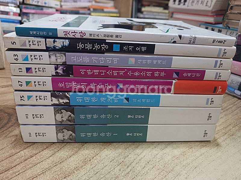민음사판..세계문학전집 (8권)--0
