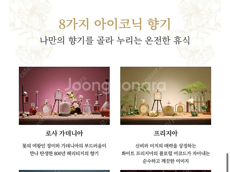 산타마리아노벨라 크레마 플루이다(새상품)--4