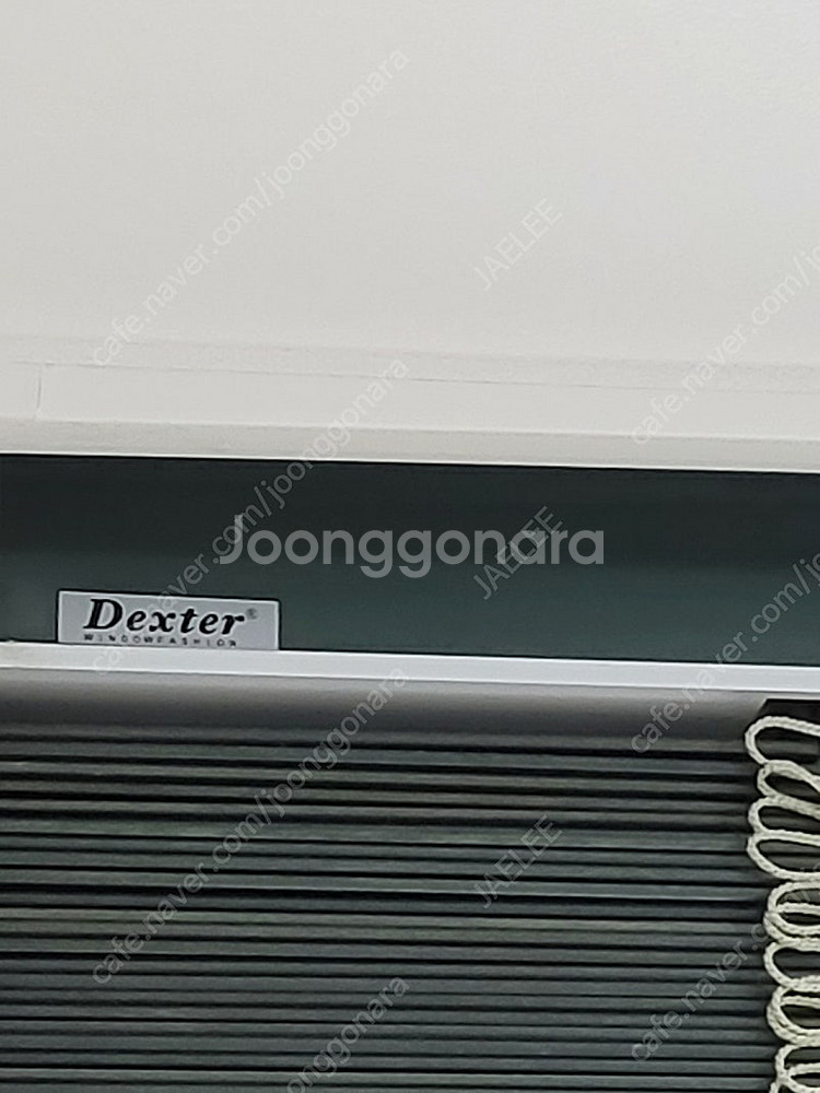 덱스터(dexter) 우드 블라인드--4