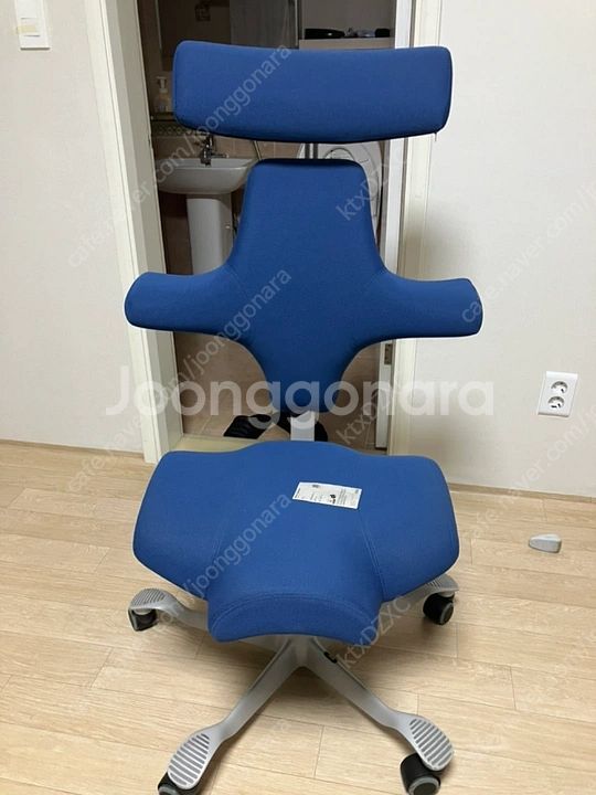 HAG Capisco 8107 인체공학 의자--0