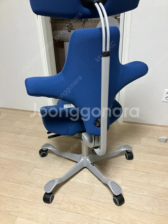 HAG Capisco 8107 인체공학 의자--1