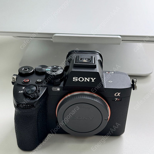 소니 A7R5 / 24-70mm gm2 / 70-200mm gm2 금계륵 금령