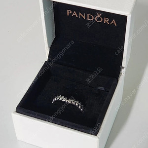 PANDORA 판도라 월계수 반지