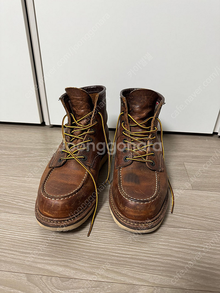 레드윙 1907 260--0