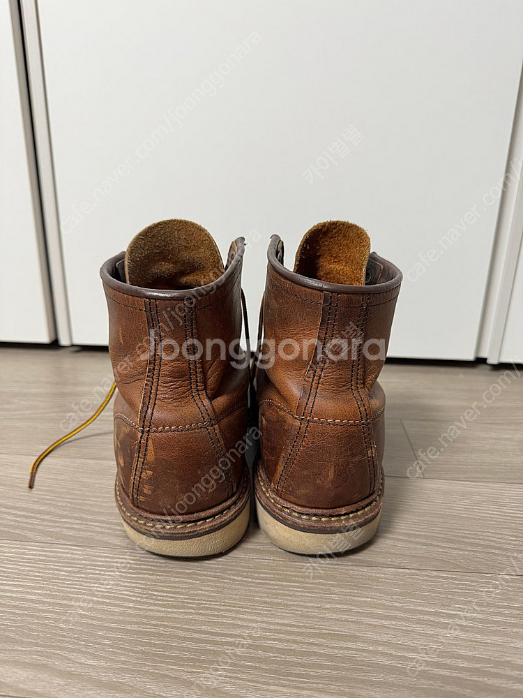 레드윙 1907 260--1