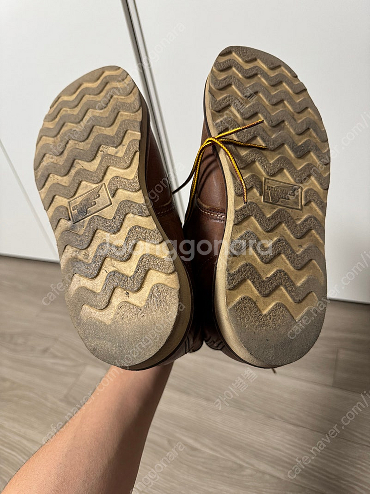 레드윙 1907 260--2