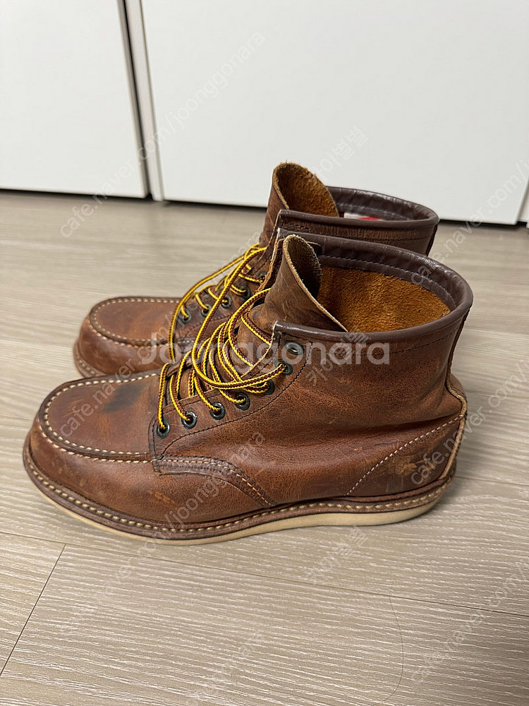 레드윙 1907 260--3