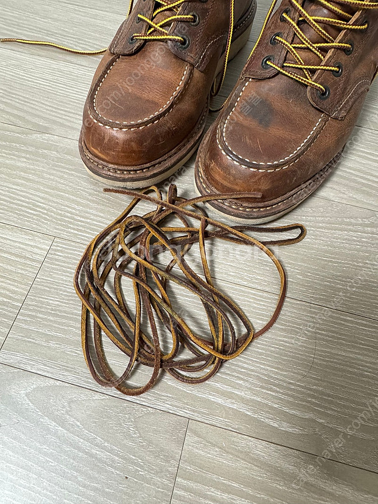 레드윙 1907 260--6