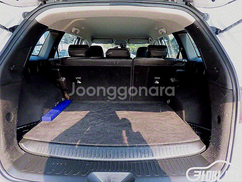[르노코리아(삼성)]더뉴QM6 2.0 LPe LE 2W...--9