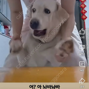 투썸플레이스 1만원권 금액권