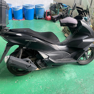 pcx125 22년식 240만원 팝니다