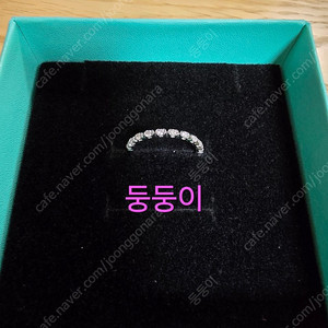 골든듀 아보아겹반지 8호